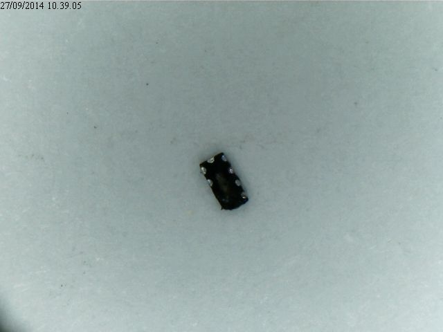 Nome: l11_2.jpg
Visite: 186
Dimensione: 23.7 KB