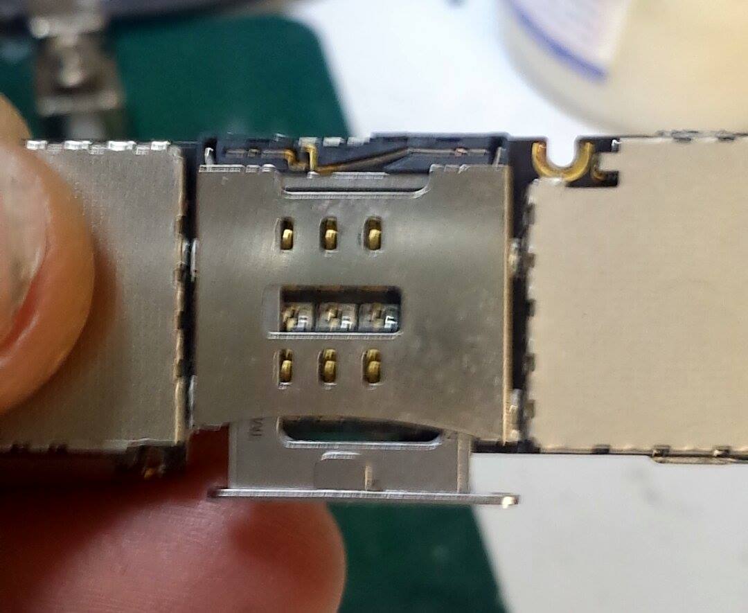 Nome: 11002731_10206070997884718_1171764410_o.jpg
Visite: 115
Dimensione: 76.7 KB