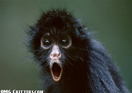 Nome: omg-face-3.jpg
Visite: 67
Dimensione: 35.1 KB