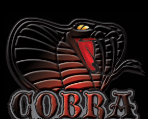 Nome: cobra11.PNG
Visite: 512
Dimensione: 86.8 KB