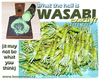 Anteprima del Wasabi 360: Unboxing!-20061108-wasabi.jpg