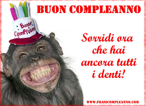 Nome: frasi-compleanno-divertenti.jpg
Visite: 91
Dimensione: 45.7 KB