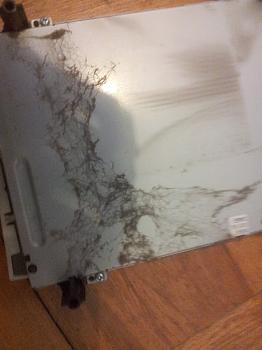 Horror stories - fotocronache dell'impossibile...-img_20121202_105713.jpg