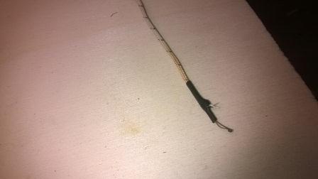 Nome: WP_20140316_035.jpg
Visite: 92
Dimensione: 42.7 KB
