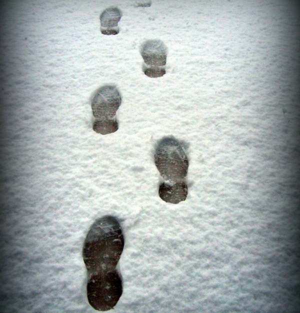 Nome: 3064911693_8d30f3a82a_b.jpg
Visite: 71
Dimensione: 179.7 KB