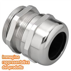 Nome: GW76828.jpg
Visite: 147
Dimensione: 10.1 KB